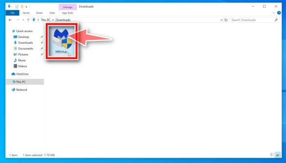 Download Malwarebytes
