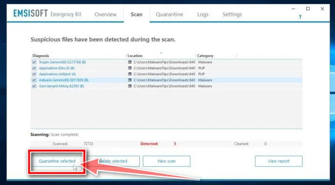 Emsisoft Emergency KitMalware Detected