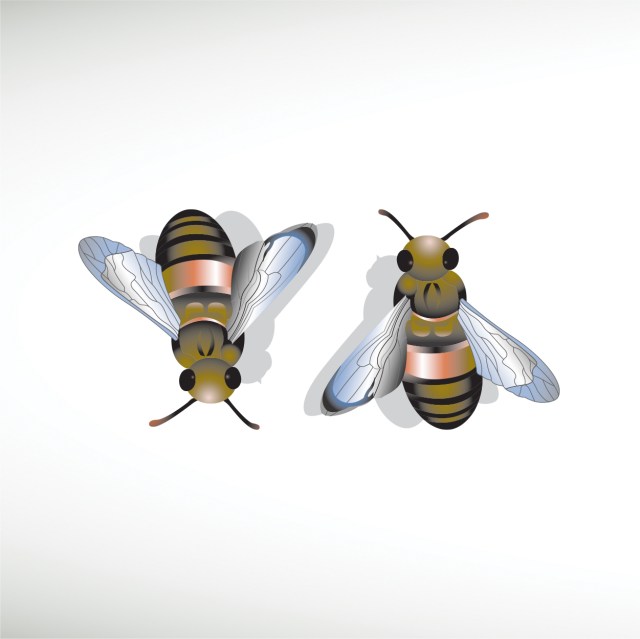 2-bee-design-thumbnail