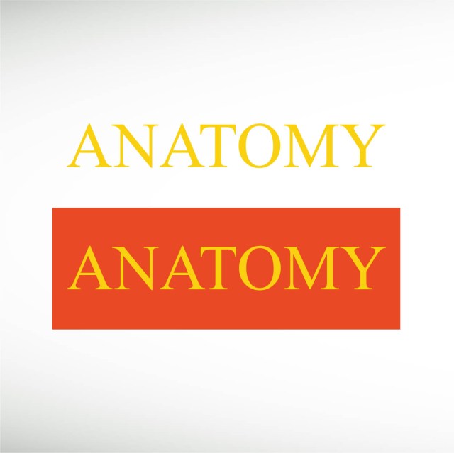 anatomy-2000-thumbnail