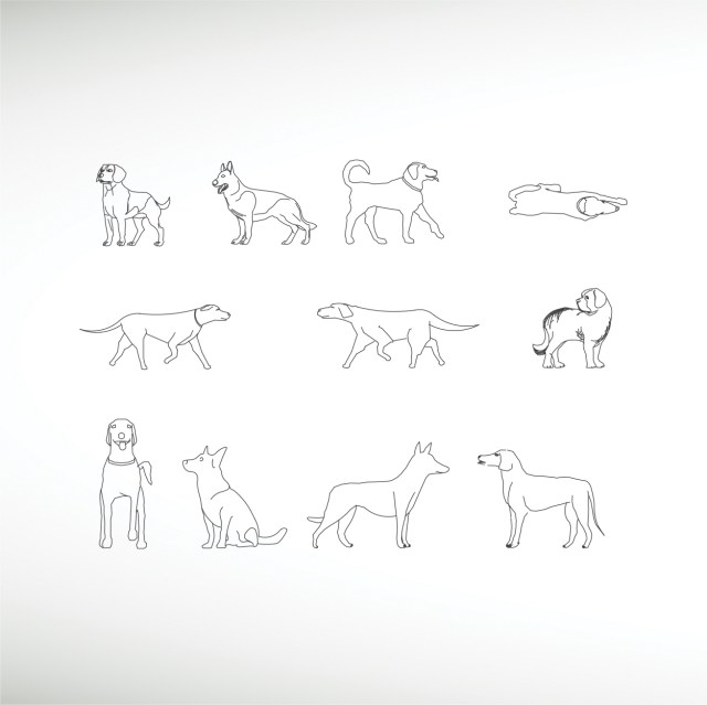 dog-collections-thumbnail