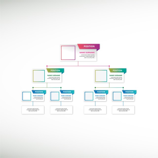 gradient-organizational-chart-n-photo-thumbnail3