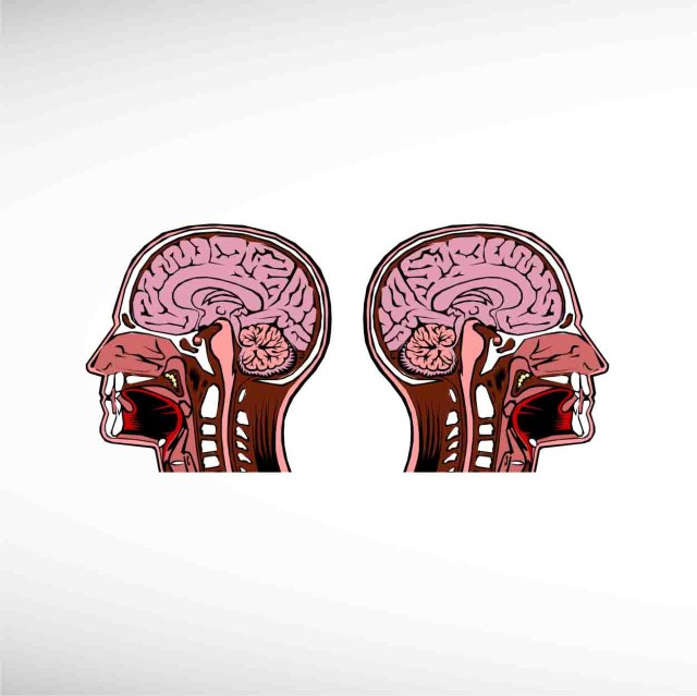 head-thumbnail6