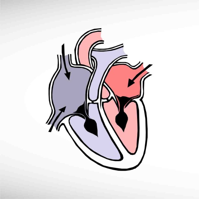 heart-thumbnail8