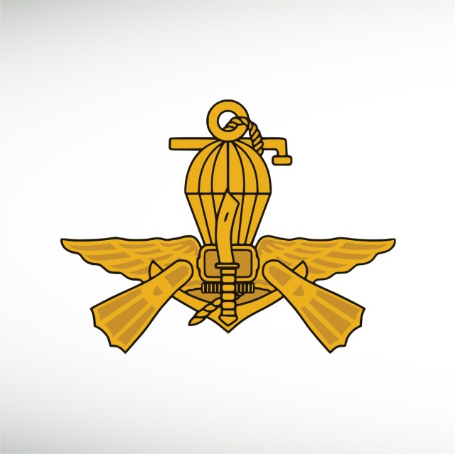 paskal-trimedia-thumbnail