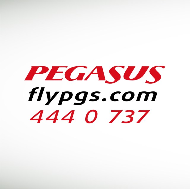 pegasus-flypgs-thumbnail7
