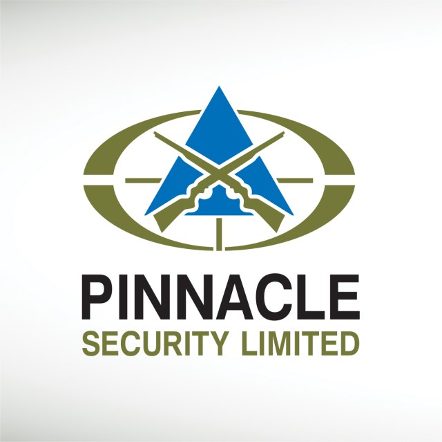 pinnacle-security-limited-thumbnail