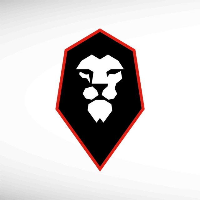 salford-city-fc-thumbnail