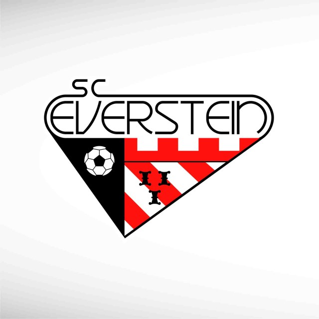 sc-everstein-thumbnail