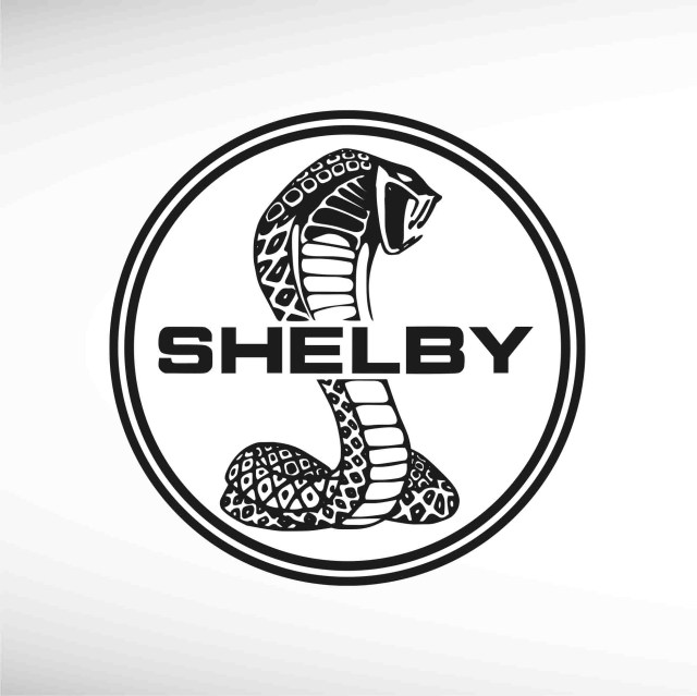 shelby-thumbnail