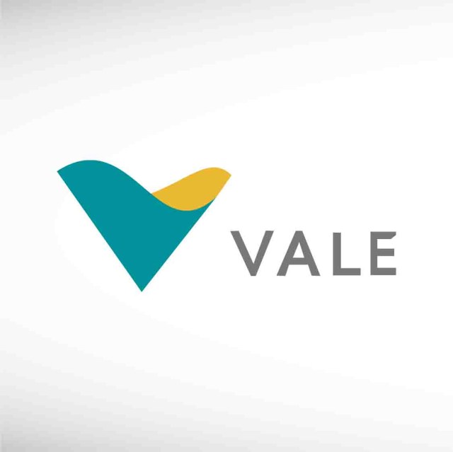 vale-sa-thumbnail